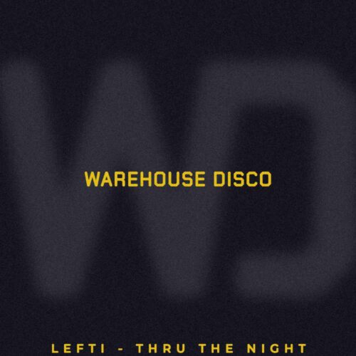 LEFTI Enters a New Era with “Thru The Night”: Acid Grooves, Reinvention, and the Power of Intuition | UFO Network LEFTI