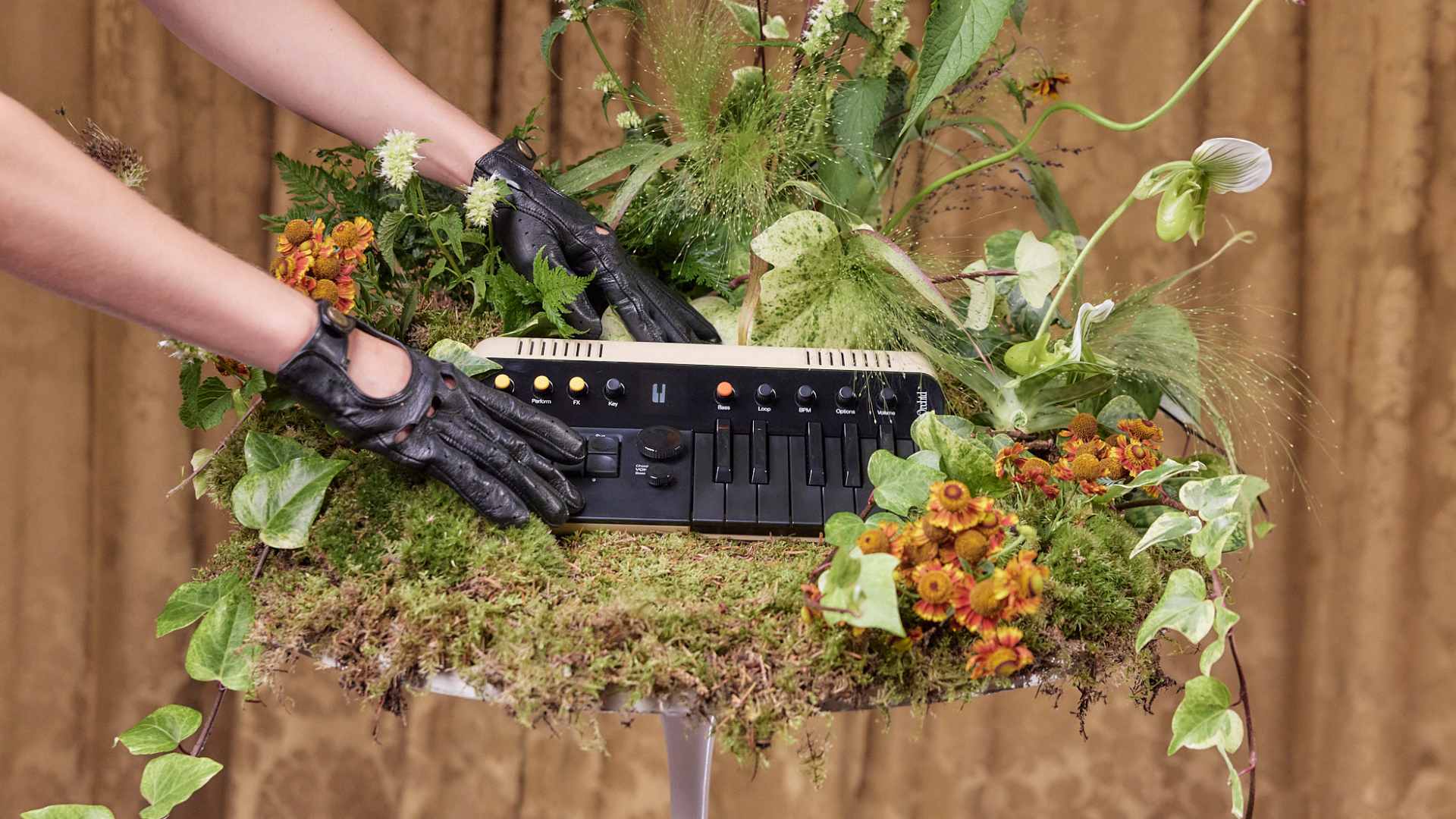 Telepathic Instruments launches worldwide with Orchid | UFO Network Telepathic Instruments