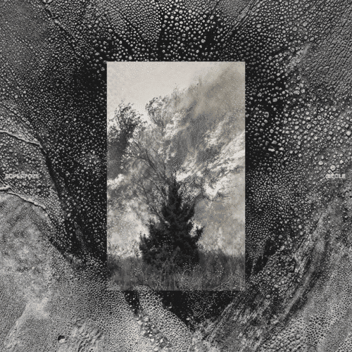 Superpoze Shares Highly-Anticipated Fourth Studio Album ‘Siècle’ - Out Now | UFO Network image | UFO Network