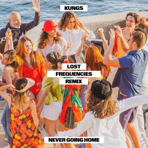 Ngh Cover Lost Frequencies Artwork | Ufo Network