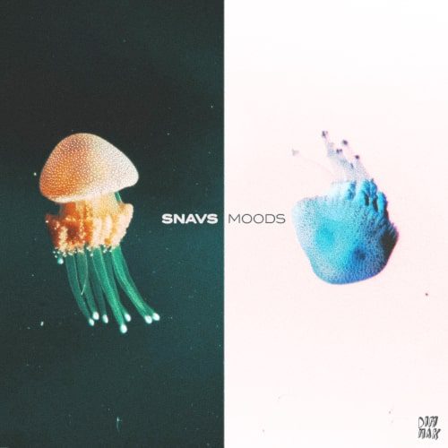 Snavs Moods Artwork | UFO Network