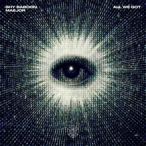 Shy Baboon Maejor ARTWORK | UFO Network