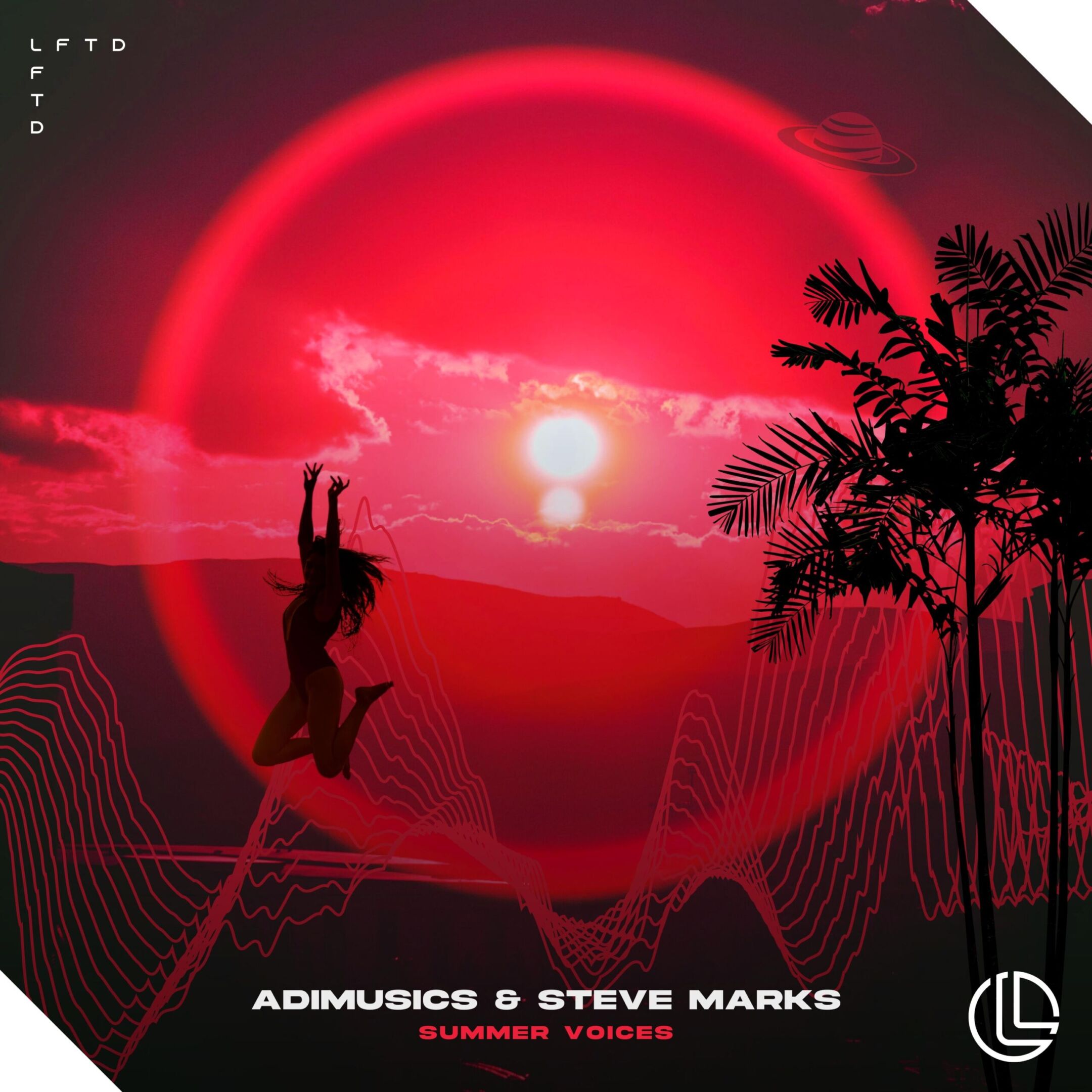 Steve Marks & Adimusics - Summer Voices Official Album Artwork