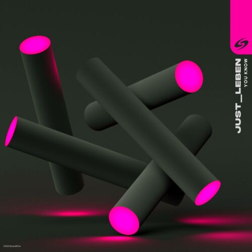 just_leben - You Know