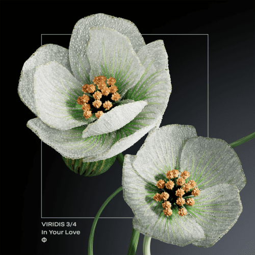 Ioma Shines Again With The Release Of ‘In Your Love’ | Ufo Network IOMA Shines Again with the Release of ‘In Your Love’