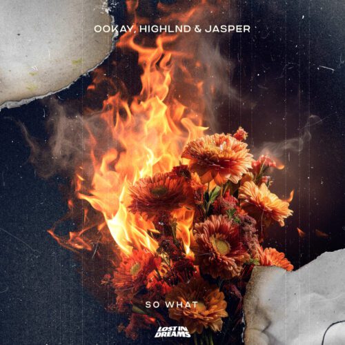 Trap Titans Ookay, Highlnd, And Jasper Turn Up The Heat On Emotional Banger &Quot;So What&Quot; | Ufo Network Trap Titans Ookay, Highlnd, and Jasper Turn Up the Heat on Emotional Banger "So What"