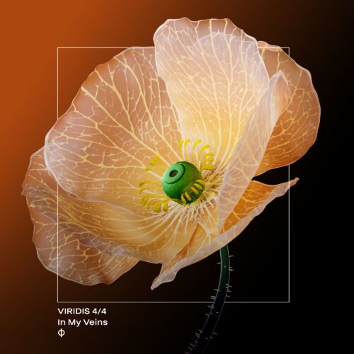 New Single ‘In My Veins’ by IOMA Hits Streaming Platforms Worldwide