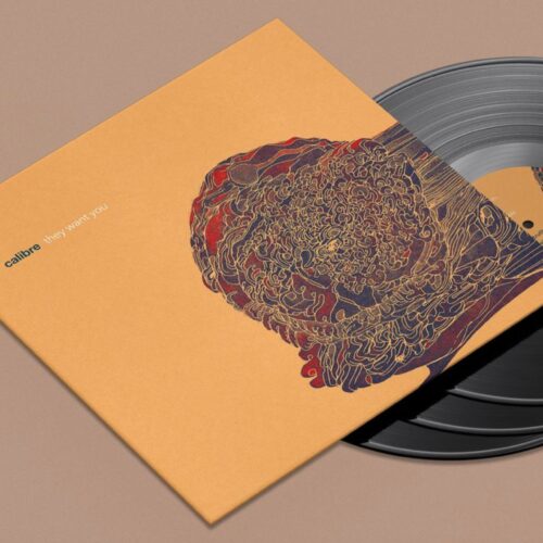 Calibre Shares New Dnb Album 'They Want You' - Out Now | Ufo Network Calibre