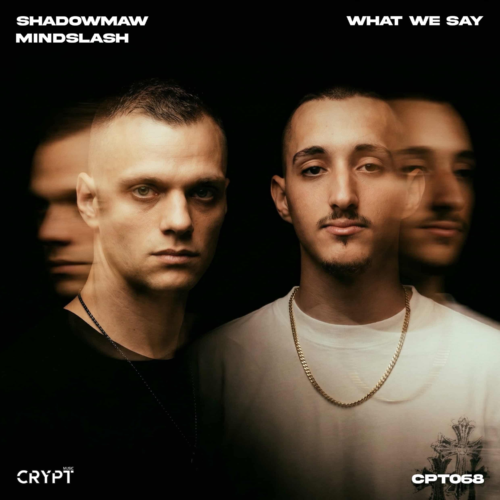 Mindslash and Shadowmaw Raise the Intensity on “What We Say”