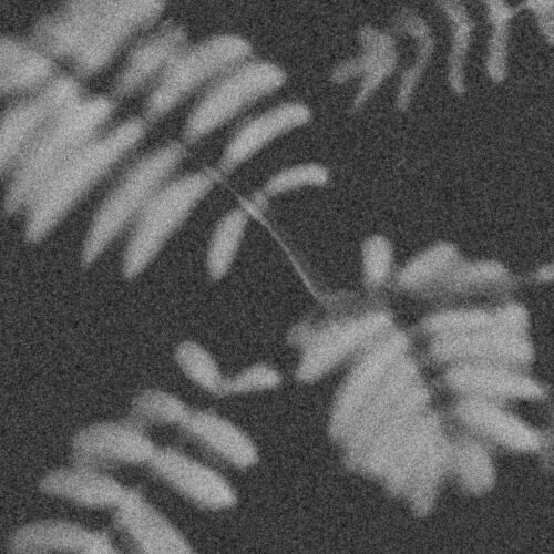 Pølaroit Rework Janus Rasmussen’s 'Doom' - Out Now Via Embassy One | Ufo Network pølaroit Rework Janus Rasmussen’s 'Doom' - Out now via Embassy One